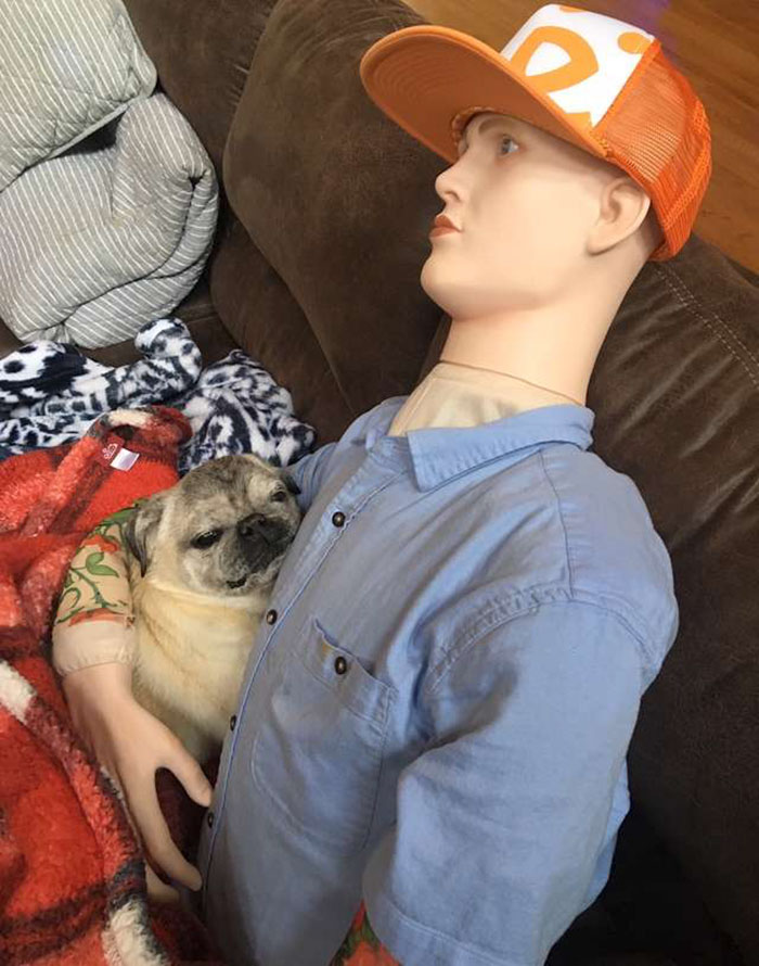 This Dog Has Separation Anxiety And Can't Sleep Without His Human, So The Owner Bought Him A Mannequin This Dog Has Separation Anxiety And Can't Sleep Without His Human, So The Owner Bought Him A Mannequin