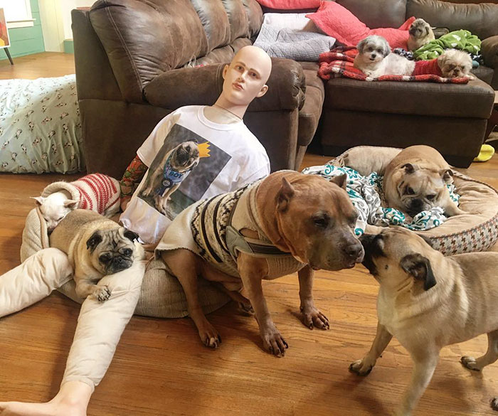 This Dog Has Separation Anxiety And Can't Sleep Without His Human, So The Owner Bought Him A Mannequin This Dog Has Separation Anxiety And Can't Sleep Without His Human, So The Owner Bought Him A Mannequin