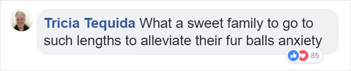 This Dog Has Separation Anxiety And Can't Sleep Without His Human, So The Owner Bought Him A Mannequin