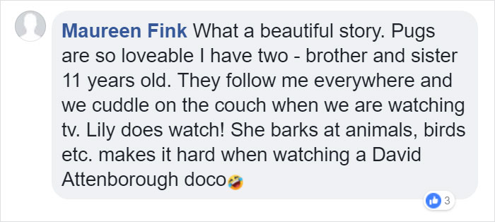 This Dog Has Separation Anxiety And Can't Sleep Without His Human, So The Owner Bought Him A Mannequin