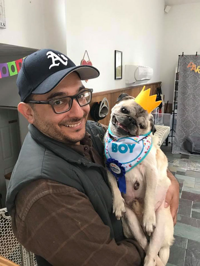 This Dog Has Separation Anxiety And Can't Sleep Without His Human, So The Owner Bought Him A Mannequin