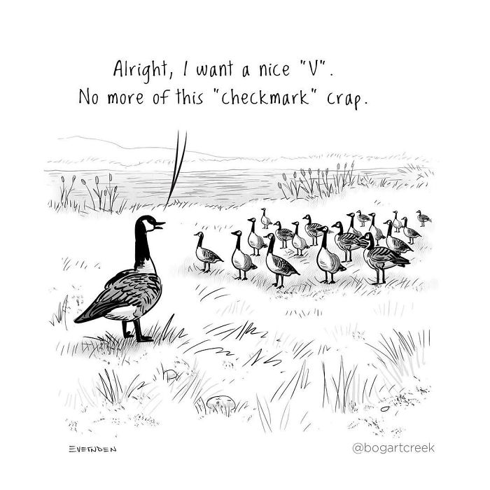 Single-Panel-Comics-Bogartcreek-Derek-Evernden