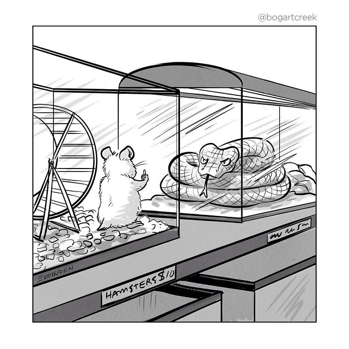 Single-Panel-Comics-Bogartcreek-Derek-Evernden