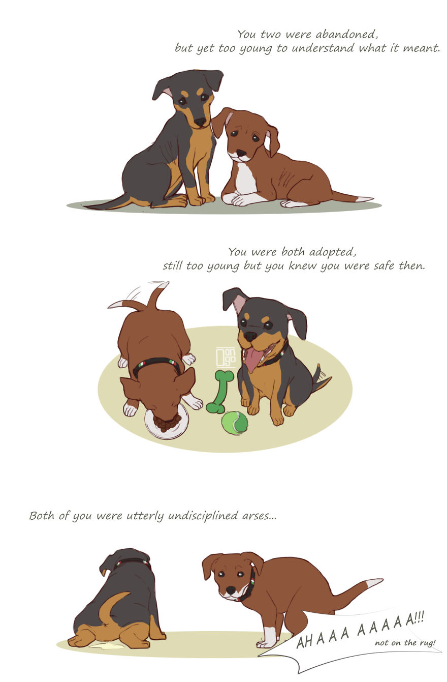 I Illustrated The Sad Tale Of My Two Cute Puppies Who I Sadly Won't See Grow Up I Illustrated The Sad Tale Of My Two Cute Puppies Who I Sadly Won't See Grow Up