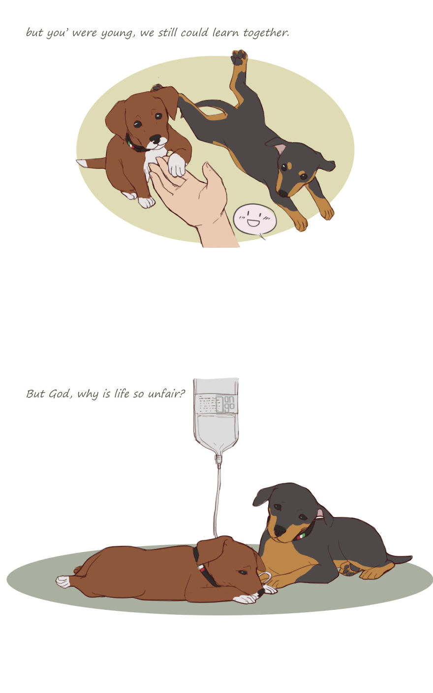 I Illustrated The Sad Tale Of My Two Cute Puppies Who I Sadly Won't See Grow Up