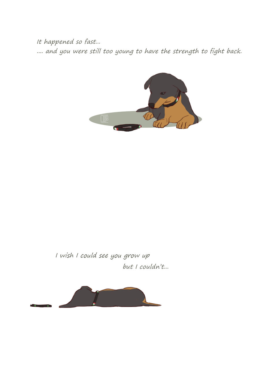 I Illustrated The Sad Tale Of My Two Cute Puppies Who I Sadly Won't See Grow Up I Illustrated The Sad Tale Of My Two Cute Puppies Who I Sadly Won't See Grow Up