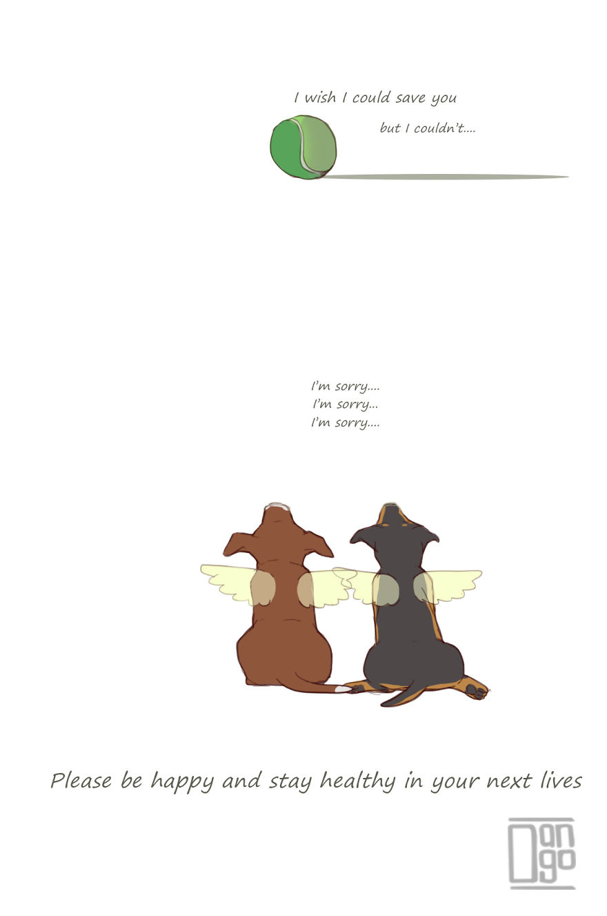 I Illustrated The Sad Tale Of My Two Cute Puppies Who I Sadly Won't See Grow Up I Illustrated The Sad Tale Of My Two Cute Puppies Who I Sadly Won't See Grow Up