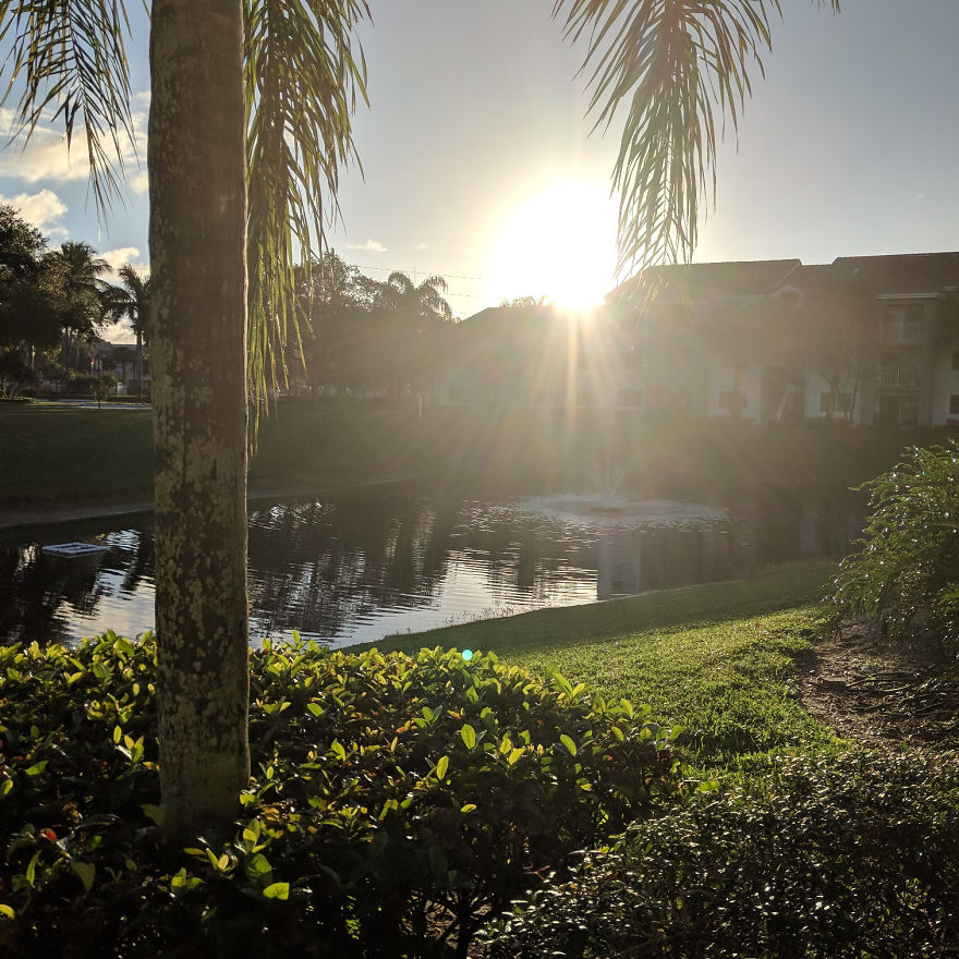 I Show The Beauty Around Me