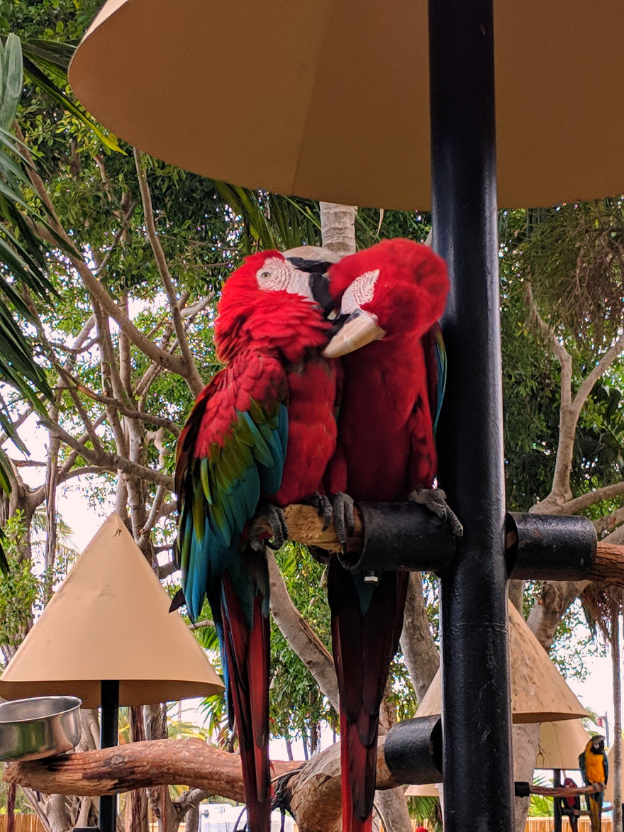 I Show The Beauty Around Me