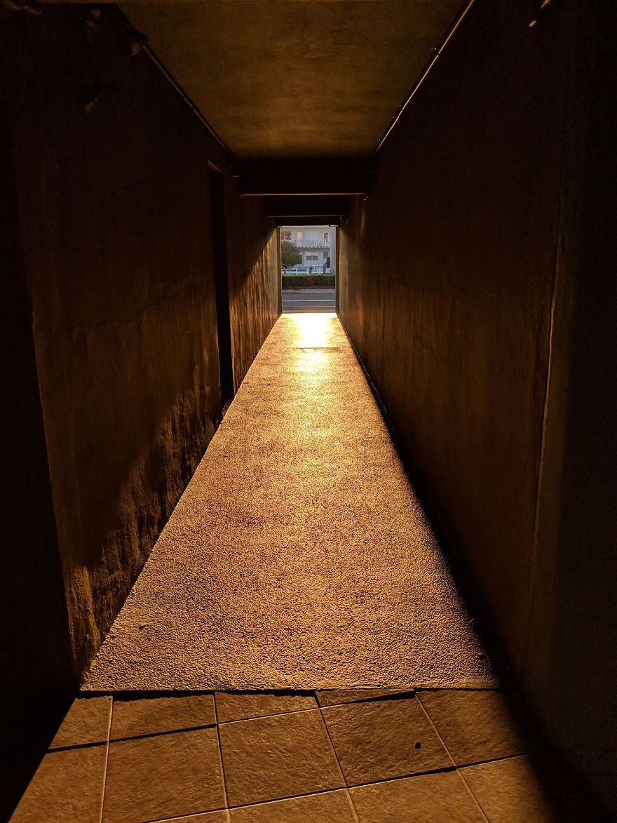 I Show The Beauty Around Me