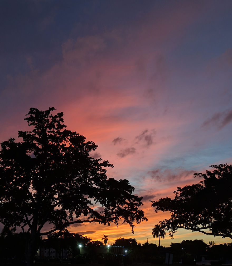 I Show The Beauty Around Me