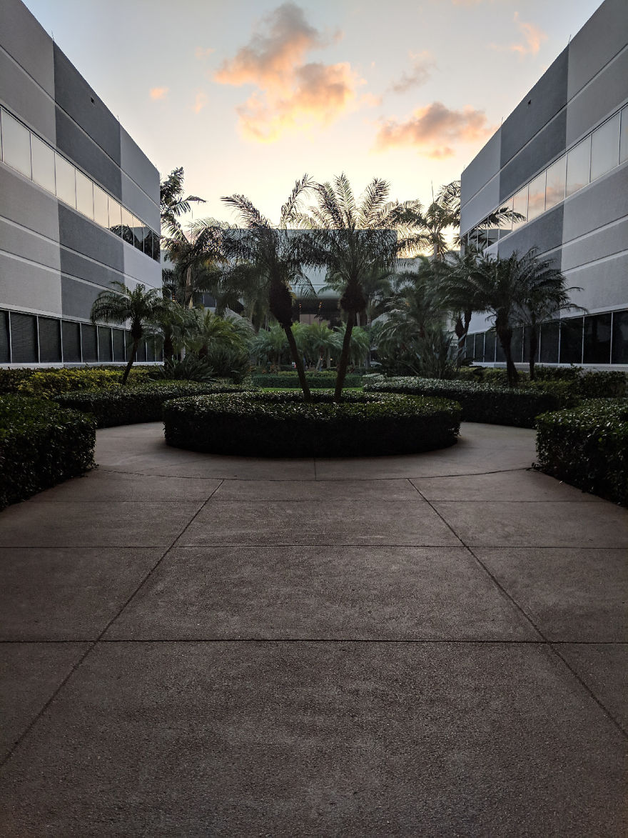 I Show The Beauty Around Me