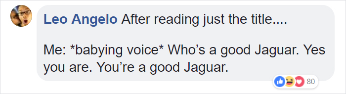 Zoo Confirms That The Jaguar Who Attacked A Woman Trying To Take A Selfie With Her Won't Be Put Down Zoo Confirms That The Jaguar Who Attacked A Woman Trying To Take A Selfie With Her Won't Be Put Down