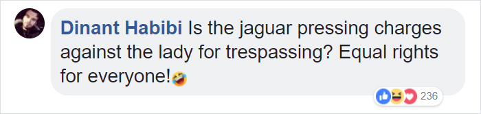 Zoo Confirms That The Jaguar Who Attacked A Woman Trying To Take A Selfie With Her Won't Be Put Down Zoo Confirms That The Jaguar Who Attacked A Woman Trying To Take A Selfie With Her Won't Be Put Down