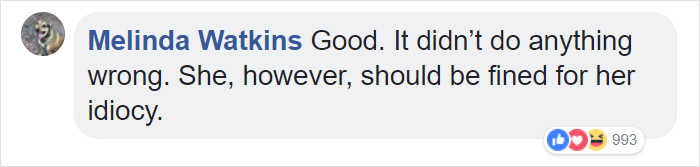 Zoo Confirms That The Jaguar Who Attacked A Woman Trying To Take A Selfie With Her Won't Be Put Down Zoo Confirms That The Jaguar Who Attacked A Woman Trying To Take A Selfie With Her Won't Be Put Down