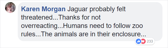 Zoo Confirms That The Jaguar Who Attacked A Woman Trying To Take A Selfie With Her Won't Be Put Down Zoo Confirms That The Jaguar Who Attacked A Woman Trying To Take A Selfie With Her Won't Be Put Down