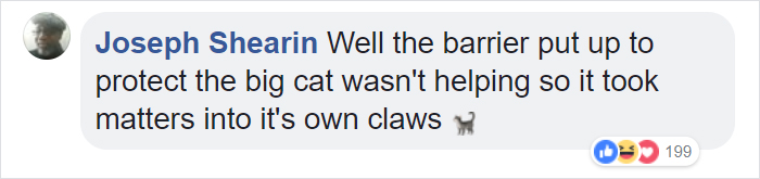 Zoo Confirms That The Jaguar Who Attacked A Woman Trying To Take A Selfie With Her Won't Be Put Down