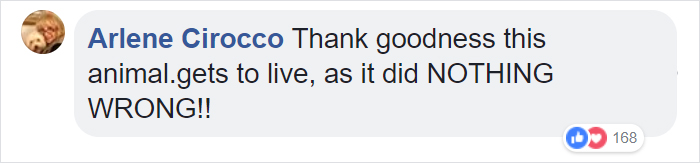 Zoo Confirms That The Jaguar Who Attacked A Woman Trying To Take A Selfie With Her Won't Be Put Down Zoo Confirms That The Jaguar Who Attacked A Woman Trying To Take A Selfie With Her Won't Be Put Down