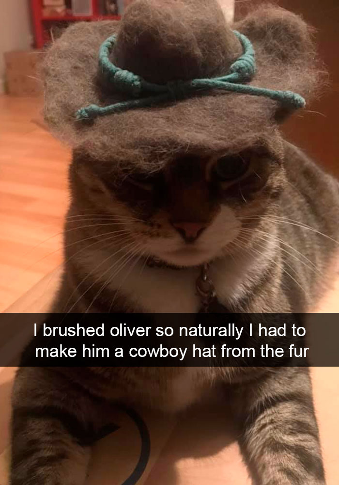 Cat-Snapchats