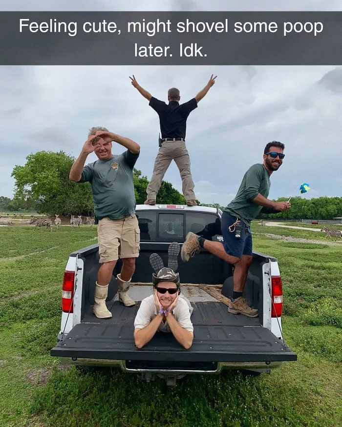 Funny-Feeling-Cute-Challenge