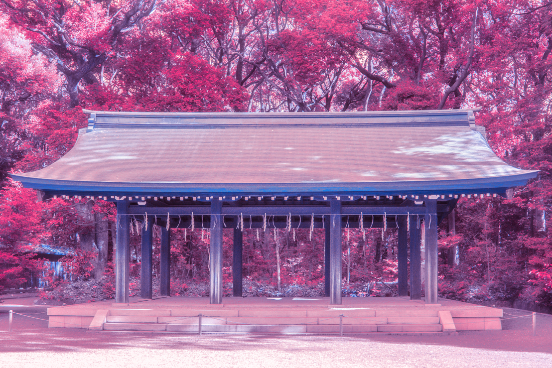 Here’s How The World Would Look Like If It Was All Pink