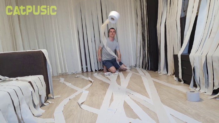 Video Of Cat Going Crazy In A Room Full Of Toilet Paper Goes Viral Video Of Cat Going Crazy In A Room Full Of Toilet Paper Goes Viral