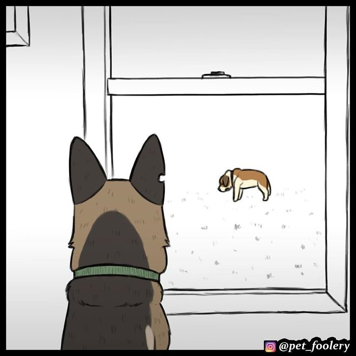 7 New Comics From The Adorable Duo Pixie And Brutus 7 New Comics From The Adorable Duo Pixie And Brutus