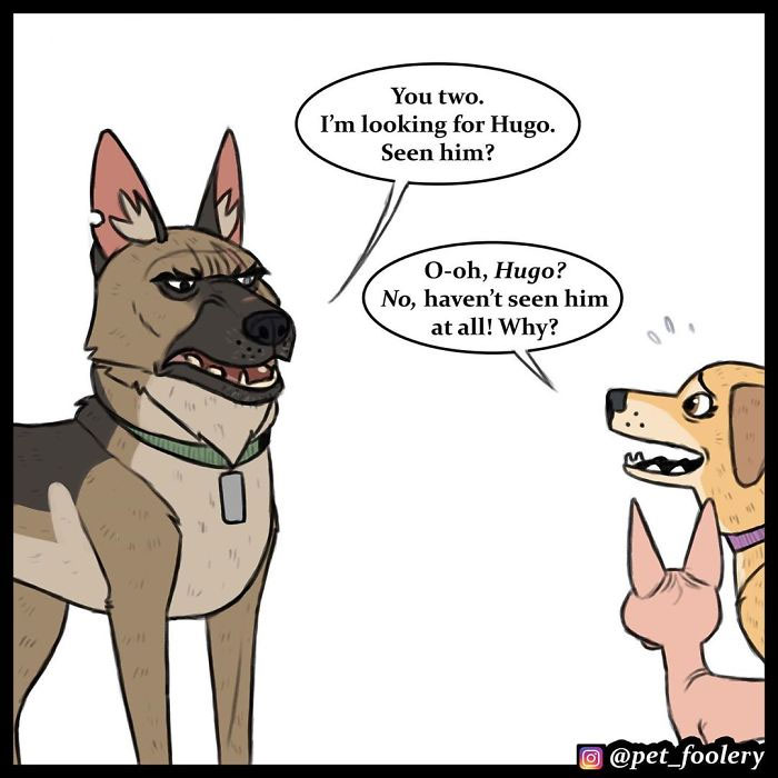 7 New Comics From The Adorable Duo Pixie And Brutus 7 New Comics From The Adorable Duo Pixie And Brutus