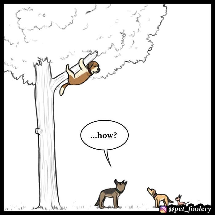 7 New Comics From The Adorable Duo Pixie And Brutus