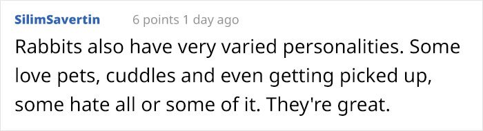 Bunny Owner Explains Why You Shouldn't Get One Before Easter