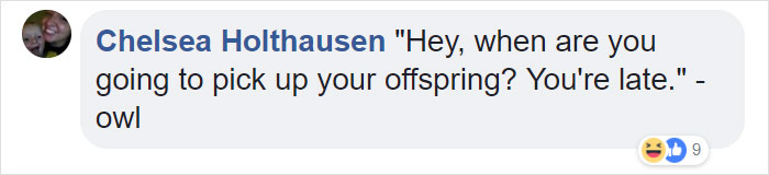 Duckling Gets Raised By An Owl And The Photos Are Adorable Duckling Gets Raised By An Owl And The Photos Are Adorable