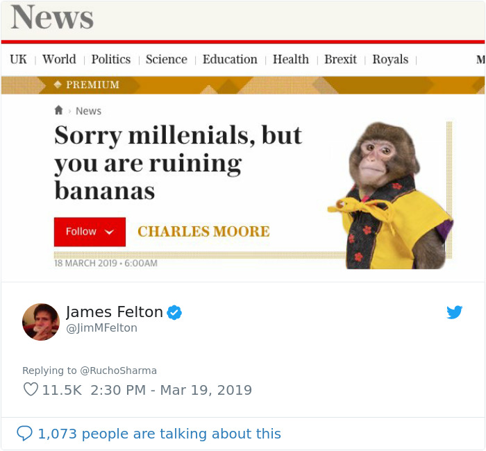 Someone Realizes This Monkey Looks Like Every Journalist And Real Journalists Confirm With 24 Pics Someone Realizes This Monkey Looks Like Every Journalist And Real Journalists Confirm With 24 Pics
