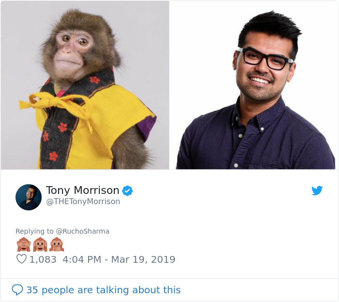 Someone Realizes This Monkey Looks Like Every Journalist And Real Journalists Confirm With 24 Pics Someone Realizes This Monkey Looks Like Every Journalist And Real Journalists Confirm With 24 Pics