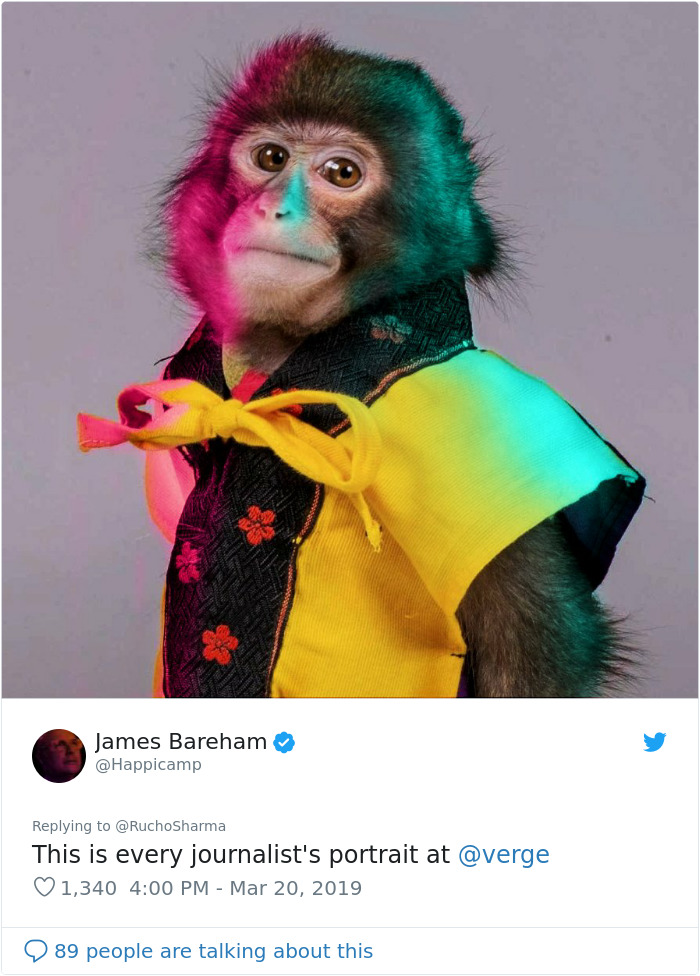 Someone Realizes This Monkey Looks Like Every Journalist And Real Journalists Confirm With 24 Pics Someone Realizes This Monkey Looks Like Every Journalist And Real Journalists Confirm With 24 Pics