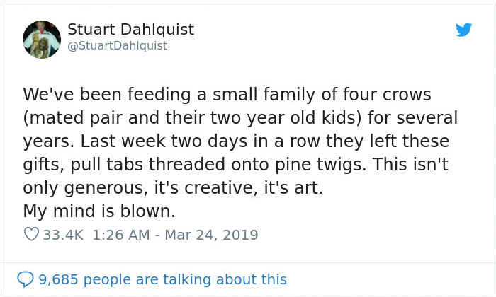 Seattle Man Has Been Feeding A Crow Family For Years, Has His "Mind Blown" After They Bring Him Presents Seattle Man Has Been Feeding A Crow Family For Years, Has His "Mind Blown" After They Bring Him Presents