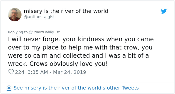 Seattle Man Has Been Feeding A Crow Family For Years, Has His "Mind Blown" After They Bring Him Presents Seattle Man Has Been Feeding A Crow Family For Years, Has His "Mind Blown" After They Bring Him Presents