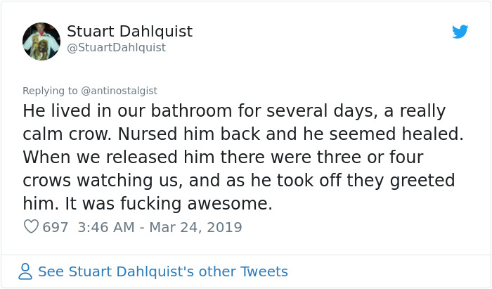 Seattle Man Has Been Feeding A Crow Family For Years, Has His "Mind Blown" After They Bring Him Presents Seattle Man Has Been Feeding A Crow Family For Years, Has His "Mind Blown" After They Bring Him Presents