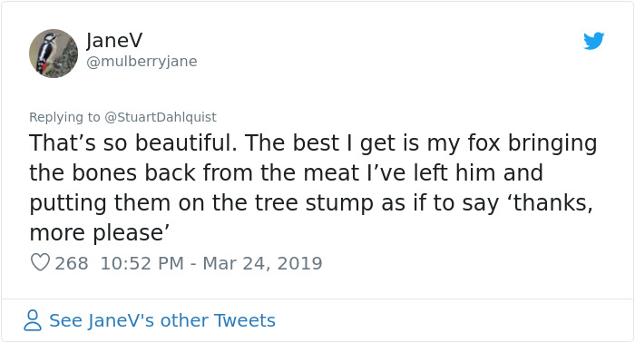 Seattle Man Has Been Feeding A Crow Family For Years, Has His "Mind Blown" After They Bring Him Presents Seattle Man Has Been Feeding A Crow Family For Years, Has His "Mind Blown" After They Bring Him Presents