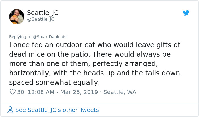 Seattle Man Has Been Feeding A Crow Family For Years, Has His "Mind Blown" After They Bring Him Presents Seattle Man Has Been Feeding A Crow Family For Years, Has His "Mind Blown" After They Bring Him Presents