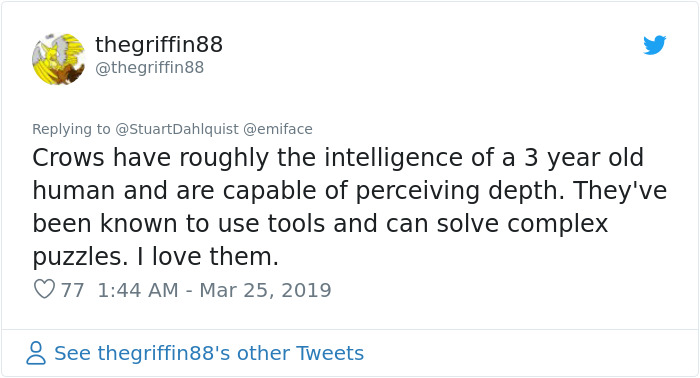 Seattle Man Has Been Feeding A Crow Family For Years, Has His "Mind Blown" After They Bring Him Presents