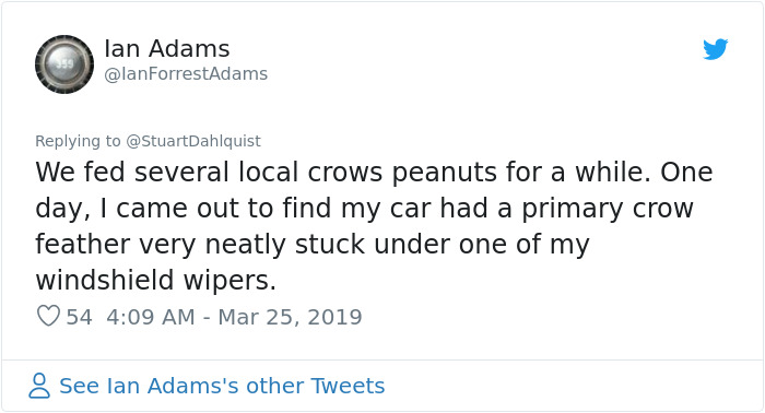 Seattle Man Has Been Feeding A Crow Family For Years, Has His "Mind Blown" After They Bring Him Presents Seattle Man Has Been Feeding A Crow Family For Years, Has His "Mind Blown" After They Bring Him Presents
