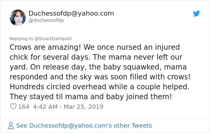 Seattle Man Has Been Feeding A Crow Family For Years, Has His "Mind Blown" After They Bring Him Presents Seattle Man Has Been Feeding A Crow Family For Years, Has His "Mind Blown" After They Bring Him Presents