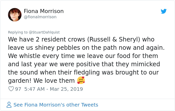 Seattle Man Has Been Feeding A Crow Family For Years, Has His "Mind Blown" After They Bring Him Presents