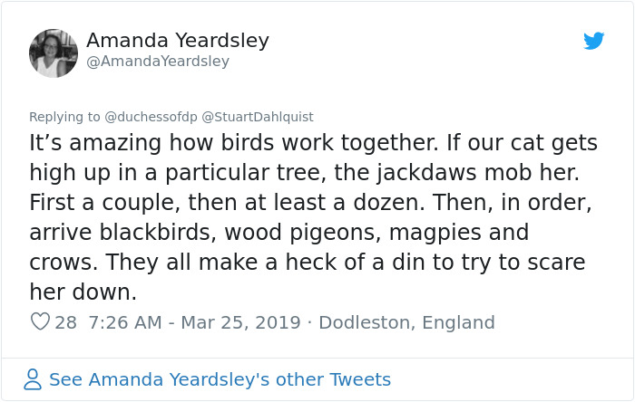 Seattle Man Has Been Feeding A Crow Family For Years, Has His "Mind Blown" After They Bring Him Presents Seattle Man Has Been Feeding A Crow Family For Years, Has His "Mind Blown" After They Bring Him Presents