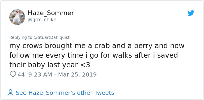 Seattle Man Has Been Feeding A Crow Family For Years, Has His "Mind Blown" After They Bring Him Presents Seattle Man Has Been Feeding A Crow Family For Years, Has His "Mind Blown" After They Bring Him Presents