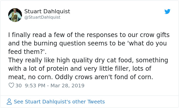 Seattle Man Has Been Feeding A Crow Family For Years, Has His "Mind Blown" After They Bring Him Presents Seattle Man Has Been Feeding A Crow Family For Years, Has His "Mind Blown" After They Bring Him Presents
