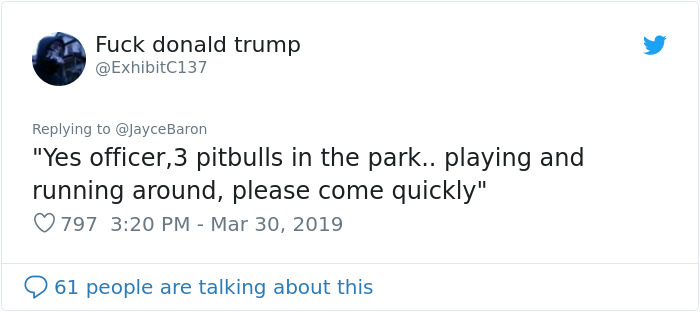 Funny-Dog-Photo-Captions