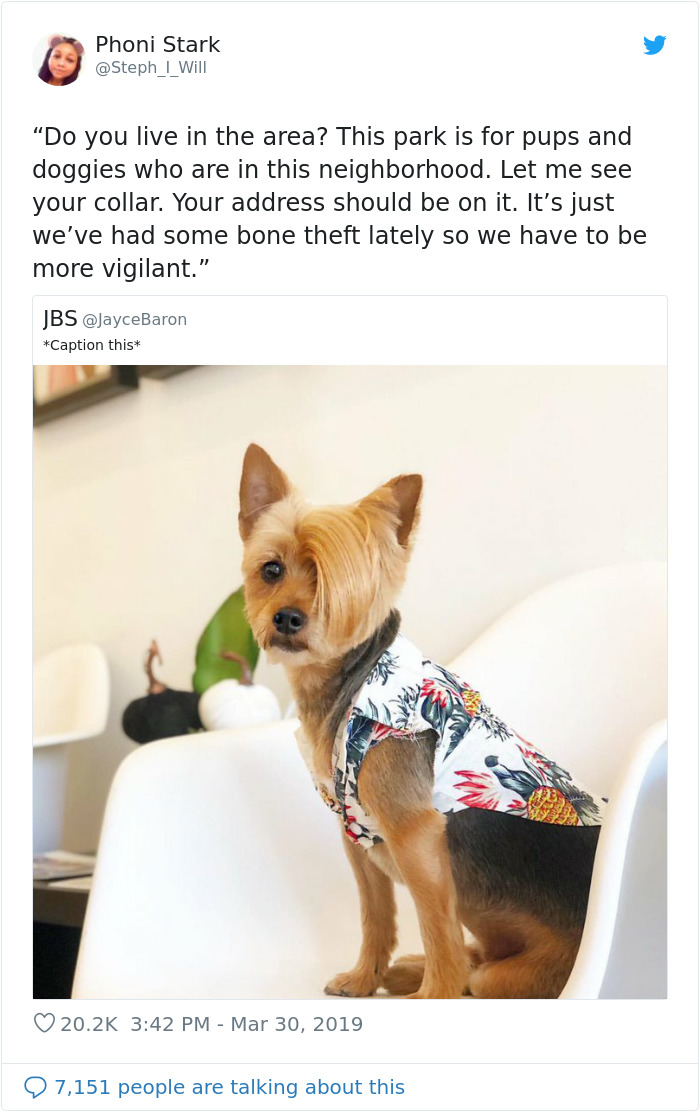 Funny-Dog-Photo-Captions