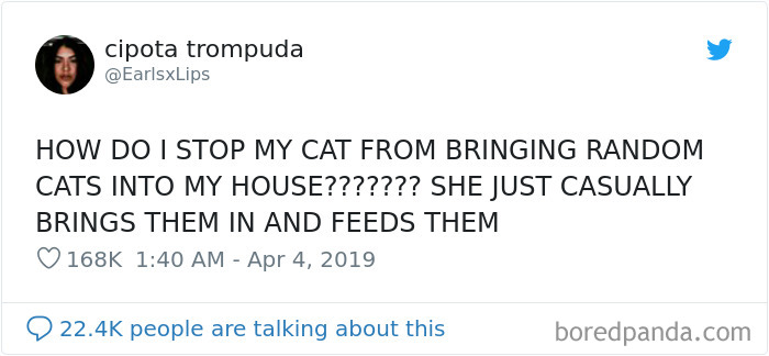 Cat-Tweets
