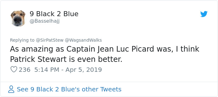 Patrick Stewart Has A New Foster Dog And Their Bond Is Adorable Patrick Stewart Has A New Foster Dog And Their Bond Is Adorable